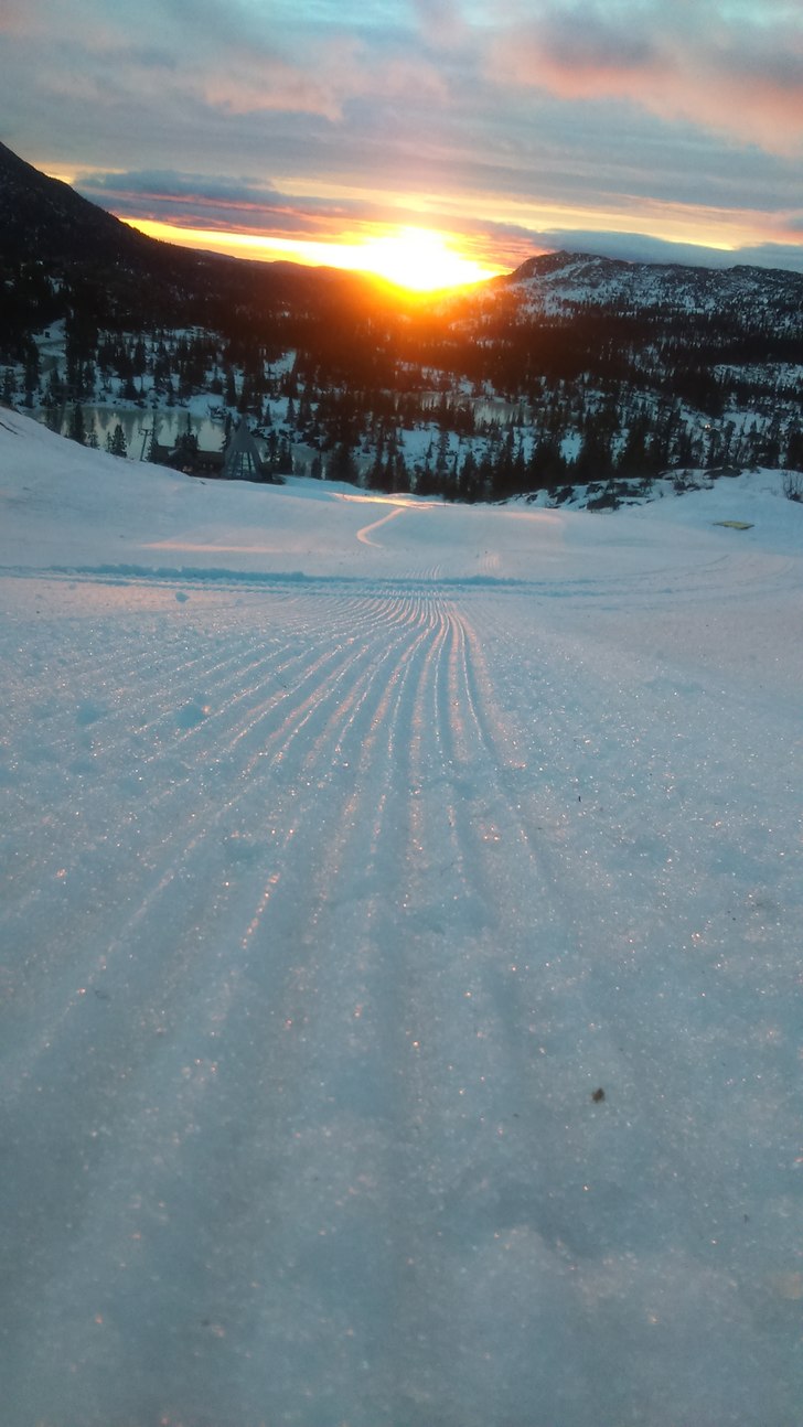 Godt nytt år!
Nypreppet bakke og strålende solB-.