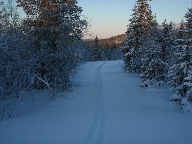 Foto: frans moström.