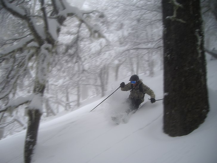 tim kör på i skogen någonstans i catedral. Foto: erik Rasmusson. Åkare: tim Ekfeldt.