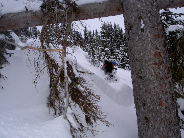 Foto: Hanna Gustavsson. Åkare: Frida Lindholm.