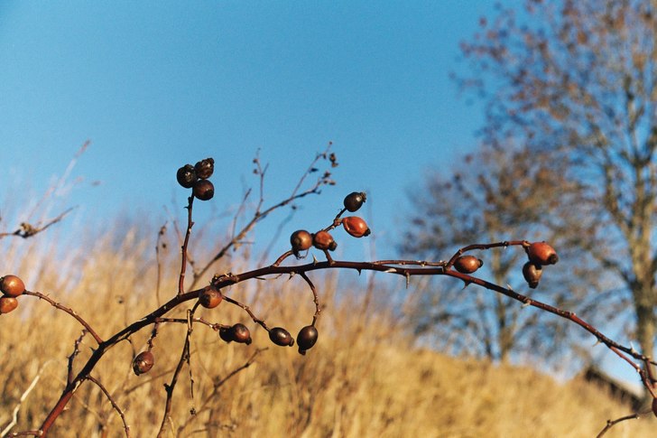 Våren gör sig påmind en solig dag någonstans i. Foto: Niclas Jiseborn.