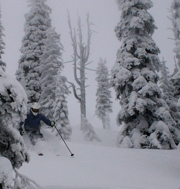 Ännu lite skön skogsskidåkning i Fernie, BC. Foto: Jens. Åkare: Max Larsson.