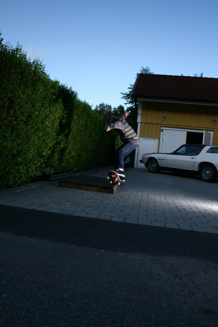 skate. Foto: alexander davidsson. Åkare: carl davidsson.