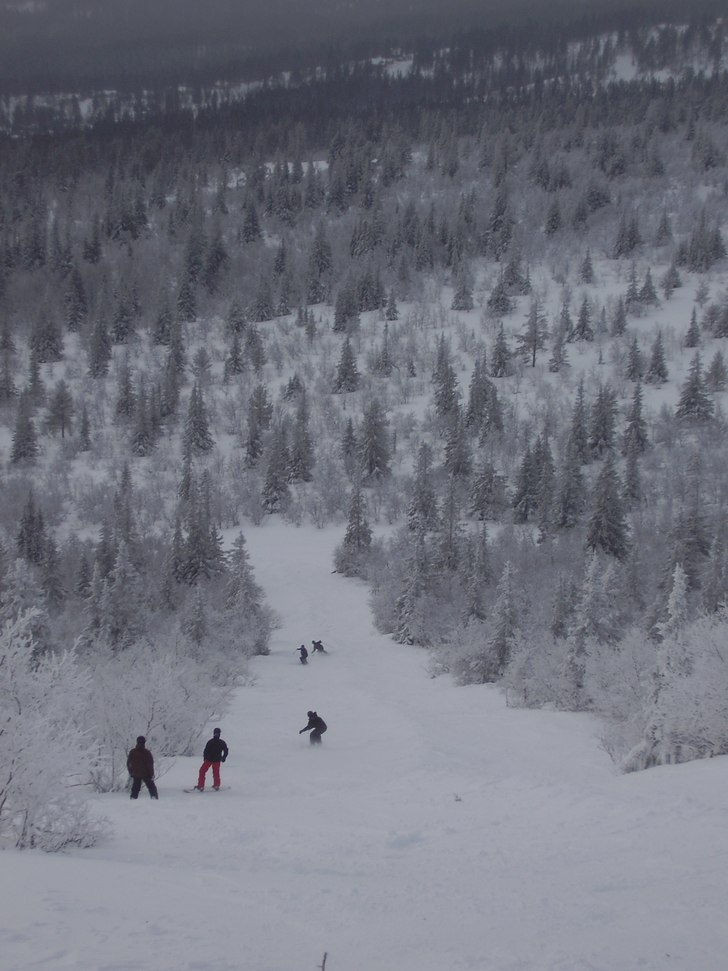 snowboard och skidåkare lånbyts gear=). Foto: jonathan svensson. Åkare: adam, pär wilmer, gabriel, jonny och carl.