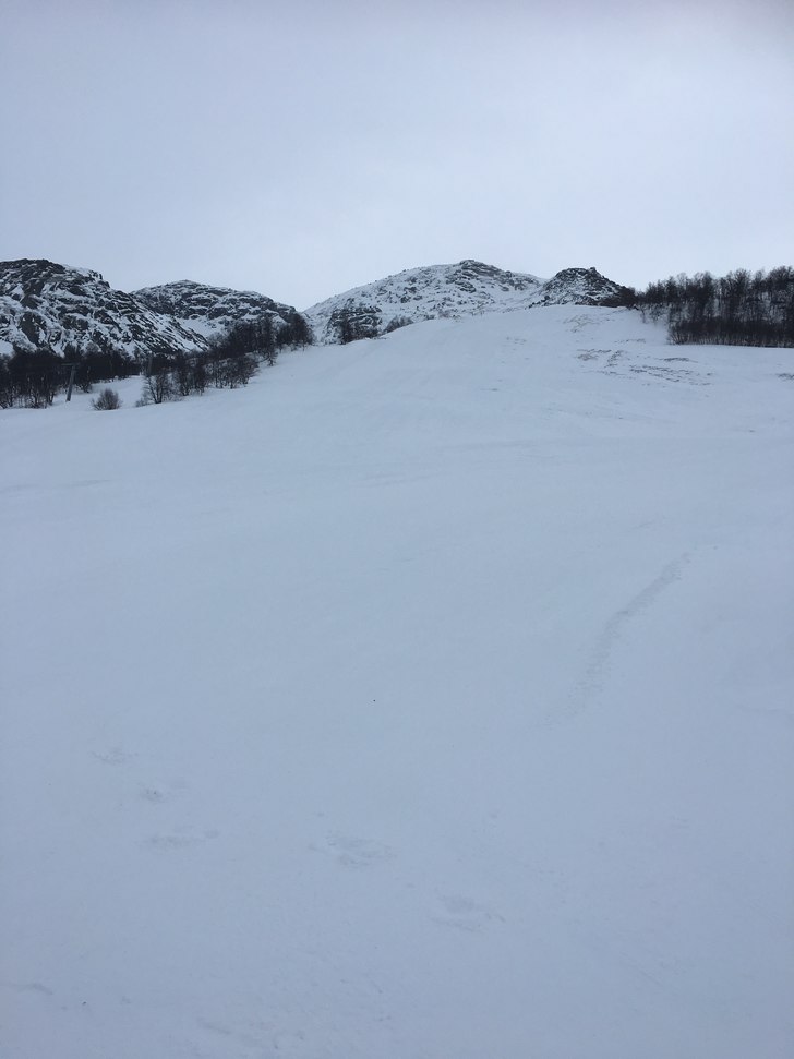 Lørdag
Åpent.