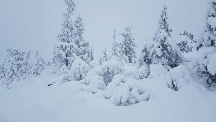 Snøen laver ned
Snøværet fortsetter og det er f.