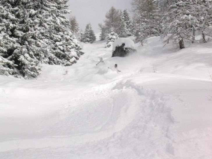 Erik studsar nedför en fin skogsslutning i galet . Foto: Petter. Åkare: Erik.