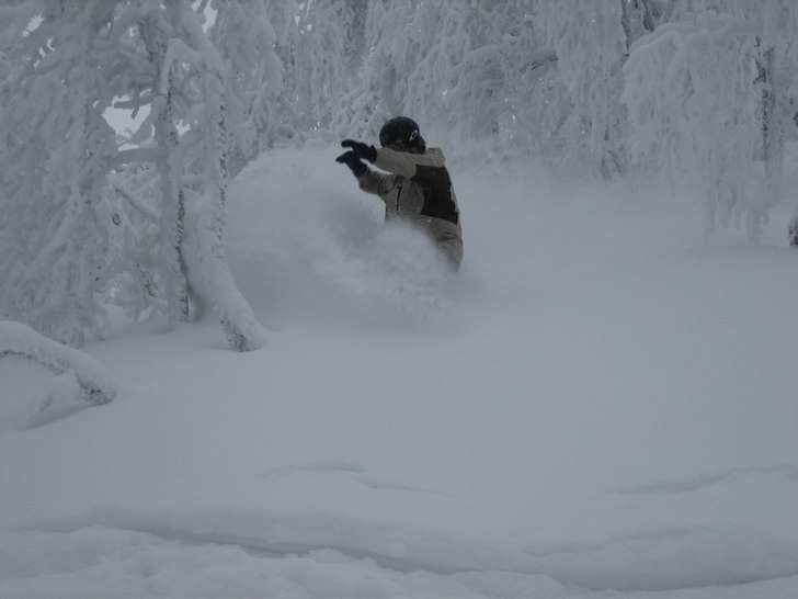 Kittel e ju guld!. Foto: Tobias Rydberg. Åkare: Marcus Jarlö.