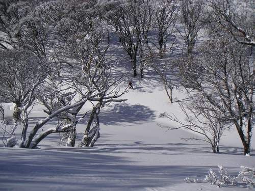 Slutet pa ett av min absolut basta ak pa Sodra hal. Foto: John Adams. Åkare: Ponta.