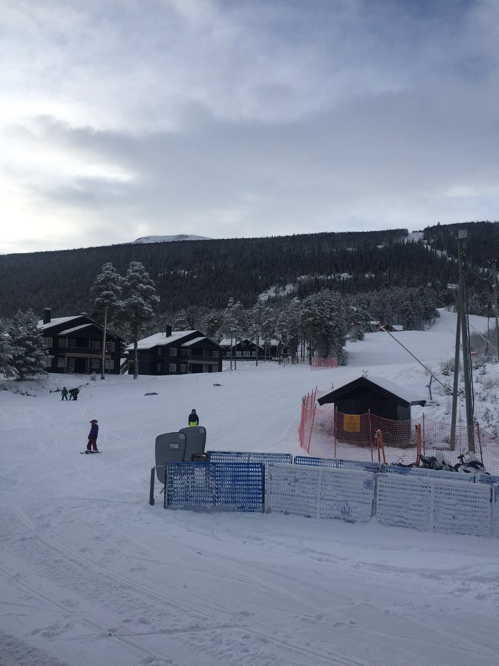 Heis
Nydelige forhold i dag 5 cm nysnø -4.