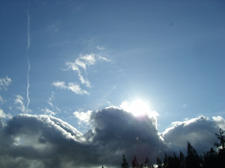 Foto: Serina Nilsson.