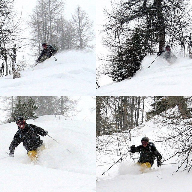 Collage av en djup lärkskog. Foto: Peter Karlsson. Åkare: Sture Ågren.