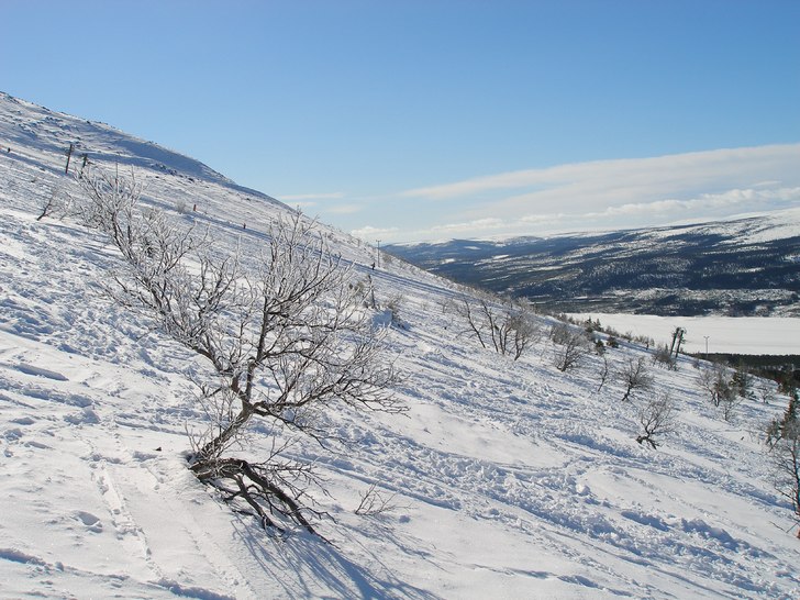 Foto: Fredrik Åkerblom.