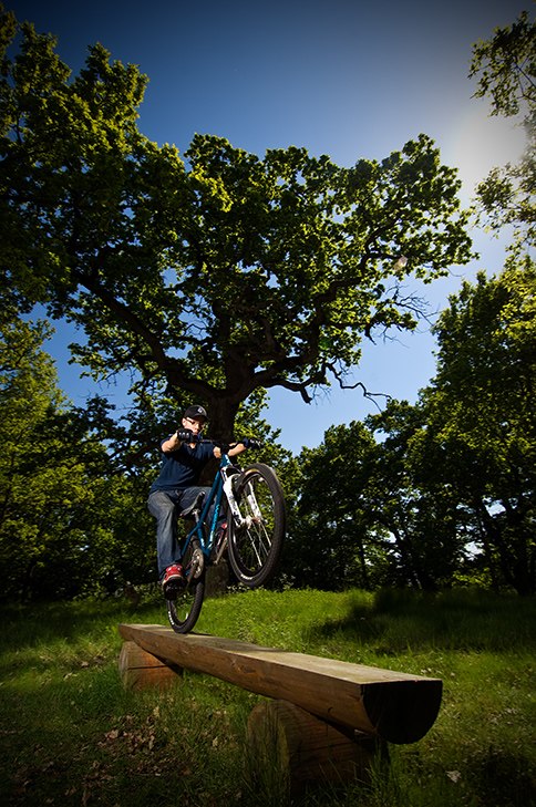 Matte chillar i solen,. Foto: Henke Johansson. Åkare: Matte.