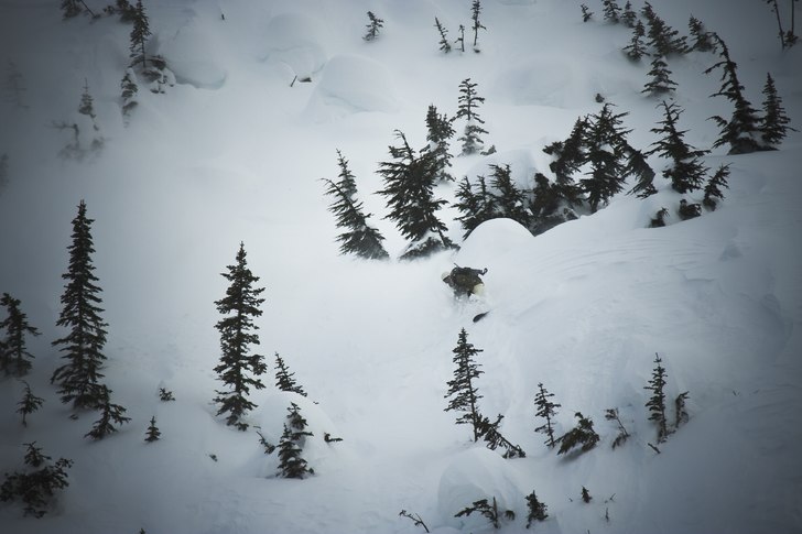 Puderplöjande i Rogers Pass, BC. Löjligt roligt!. Foto: Per nyberg. Åkare: Emil Rydell.