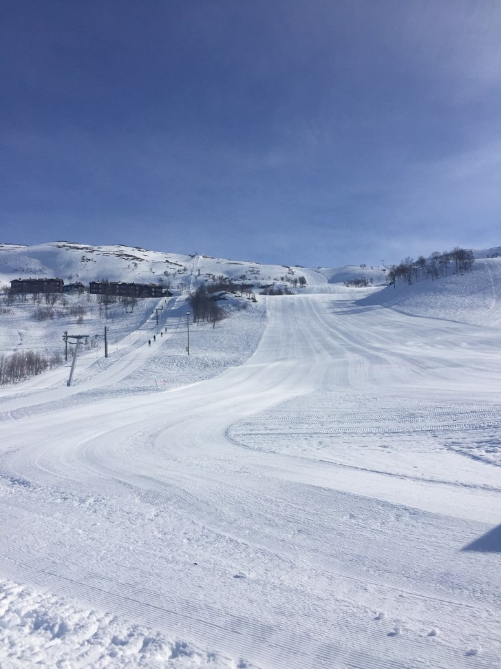 Drømmepåsken venter
Nydelige forhold
Fast og fi.