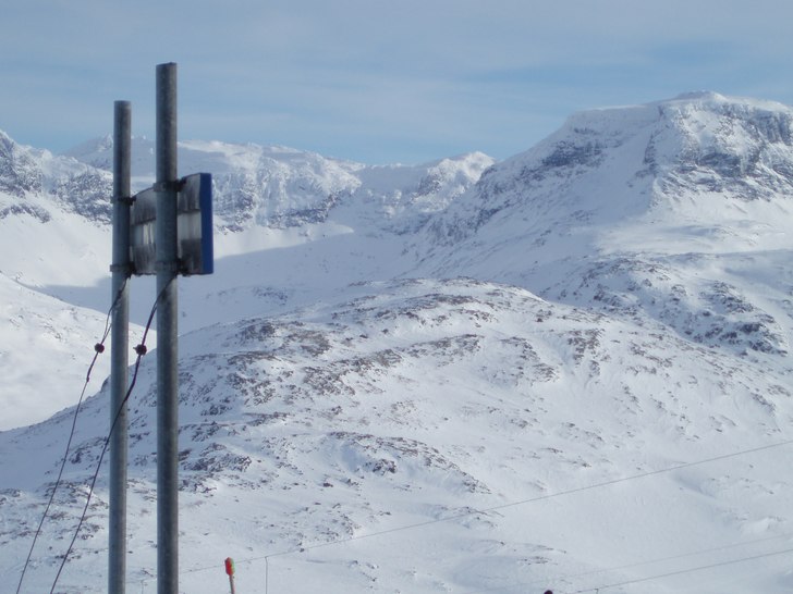 Foto: Daniel Söderholm.