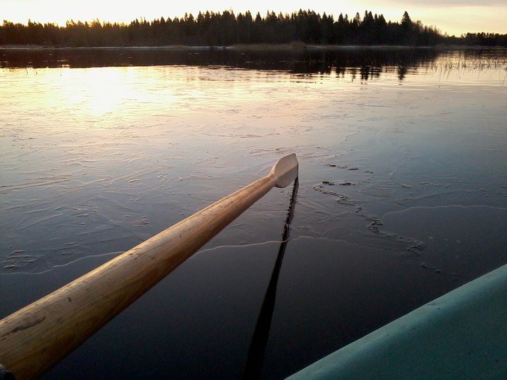 Foto: ian Archibald.