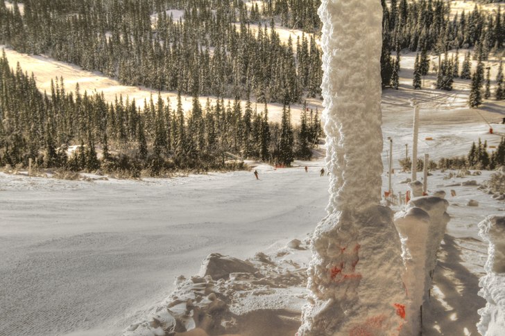 =). Foto: Tim Swedborg.