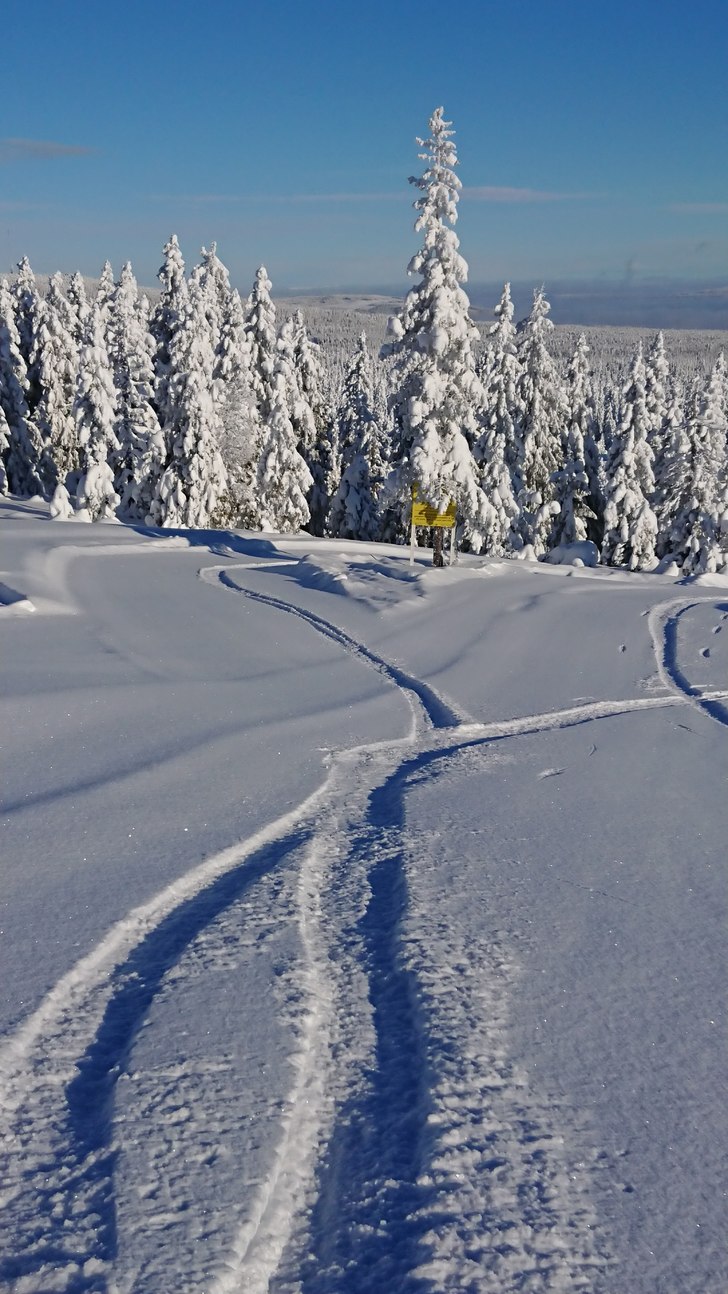 Åpent alle dager 10.00-16.00 i uke 8. 
+ tirsdag,.