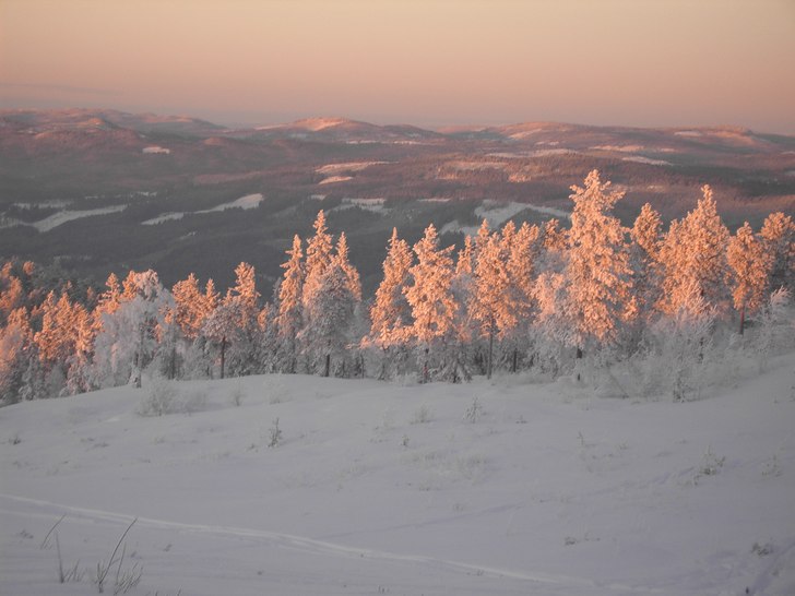 såå fint. Foto: Anna Conda. Åkare: ingen va ja ser :/ ?.