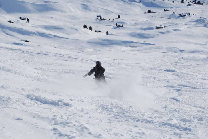 Foto: Sofia Sköld. Åkare: Johan Sköld.