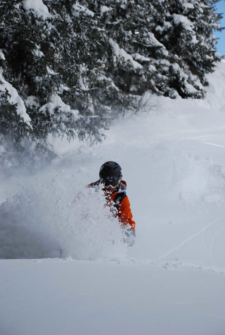 Foto: Alexander Palm. Åkare: krille.