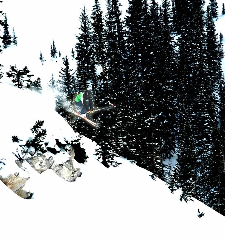 Foto: Austin. Åkare: Tomas Ernemar.