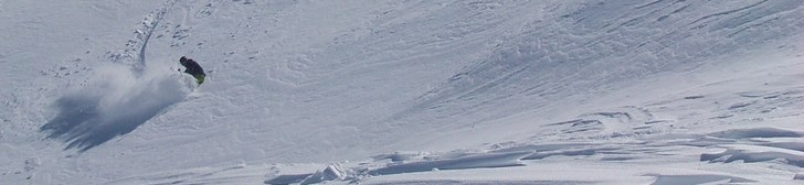 Foto: Herbert Kuster. Åkare: Georg Infanger.