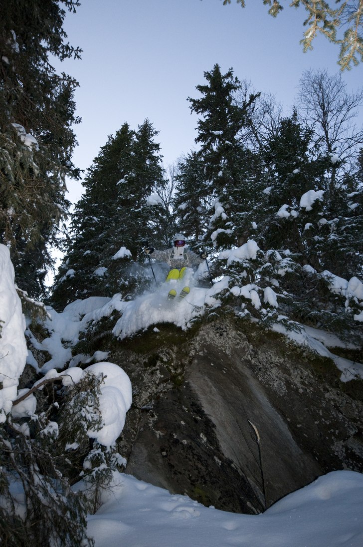 Foto: Jenny Selander. Åkare: Alexander Selander.