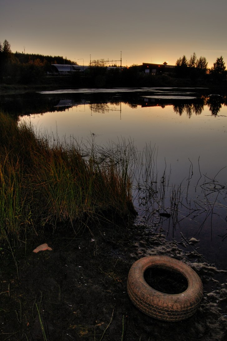 en skön kväll :). Foto: William Åkerman.