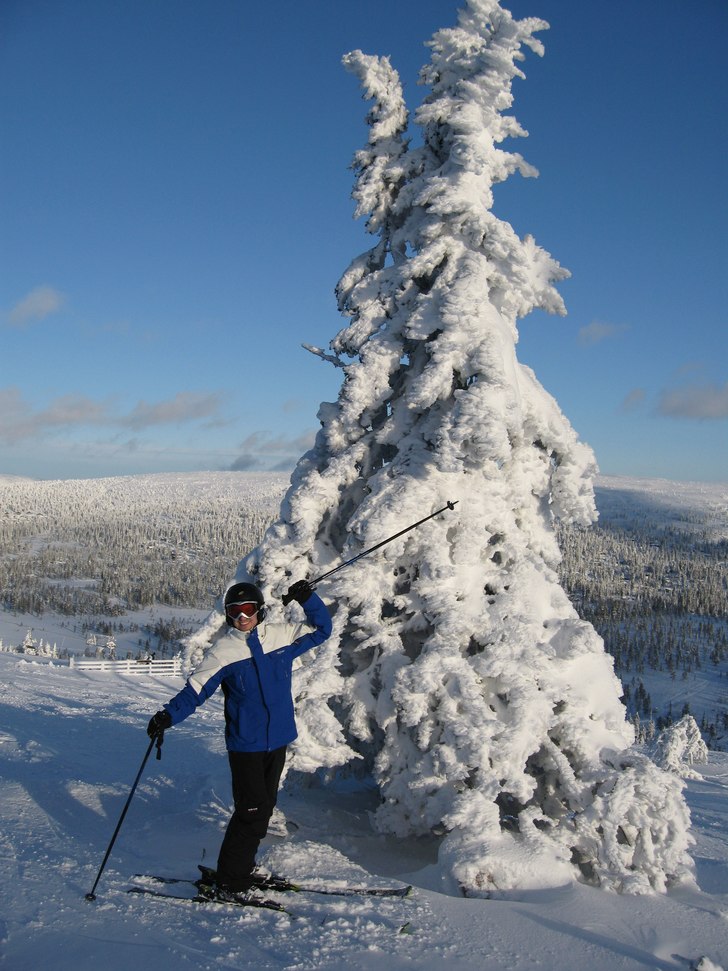 Foto: Randi Dahl. Åkare: Jonas Svensson.