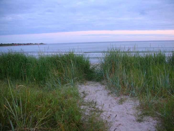 En varm kväll i juli på stranden i Sandviken. Foto: Liisa Palmqvist.