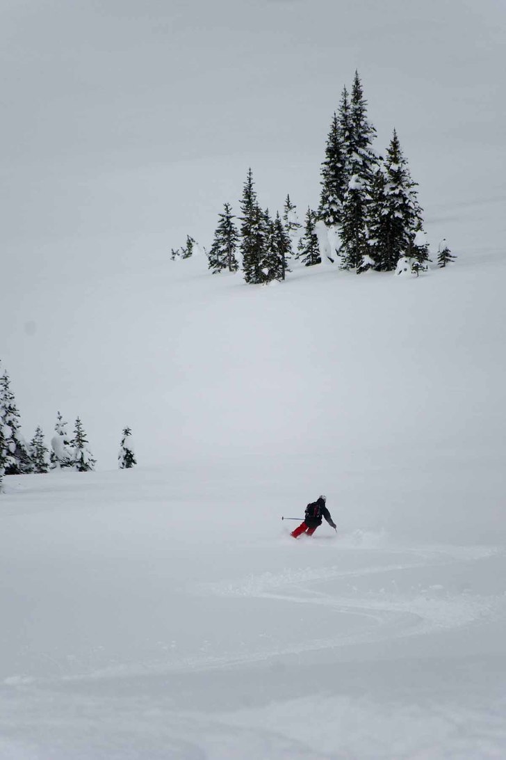 Robsa lägger första spåren på ett av fälten n. Foto: Ludwig Andersson. Åkare: Robin Sandberg.