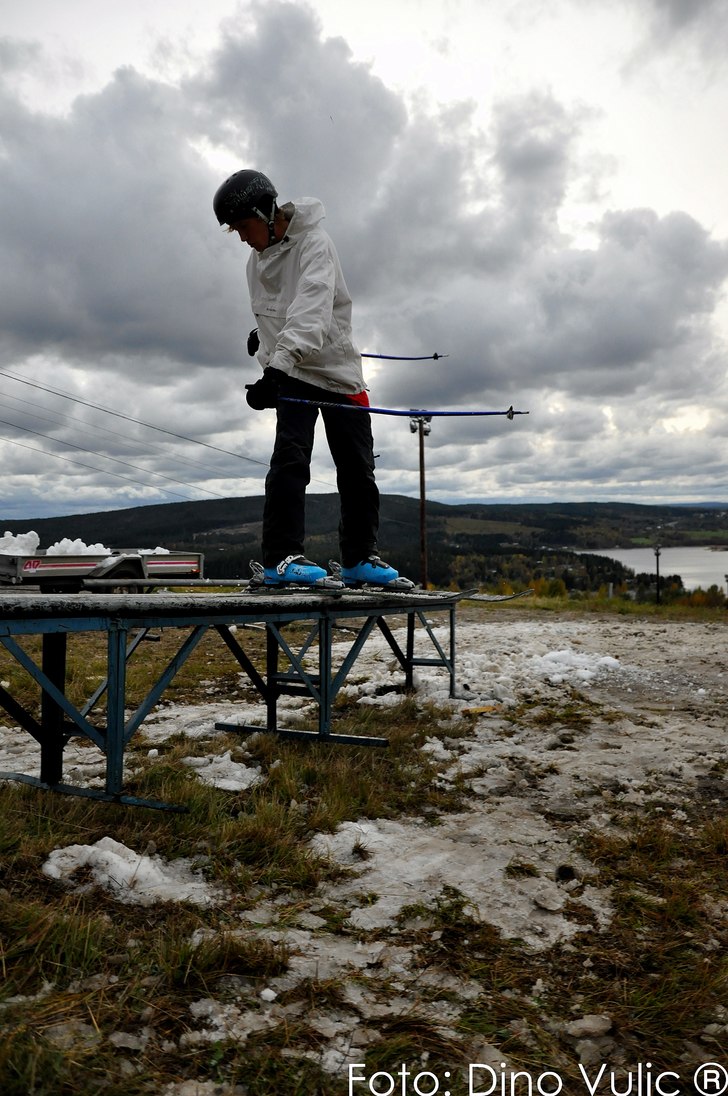 Robin. Foto: Dino Vulic. Åkare: Robin Trolin.