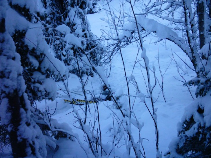 Man få se upp för fallna slanor under snön, så. Foto: Mikael Geerberg. Åkare: Daniel Collén.