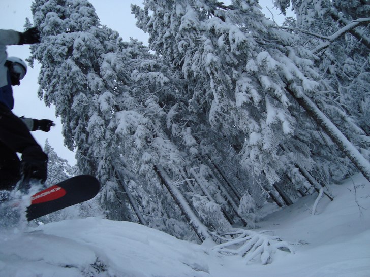 I låga fjäll får man göra de bästa man kan av. Foto: Claes Pettersson. Åkare: Karl Morrison.