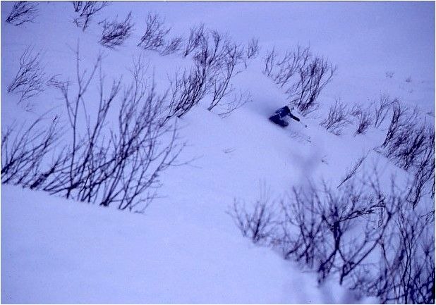 Foto: Rikard Andersson. Åkare: Daryl Treadway.