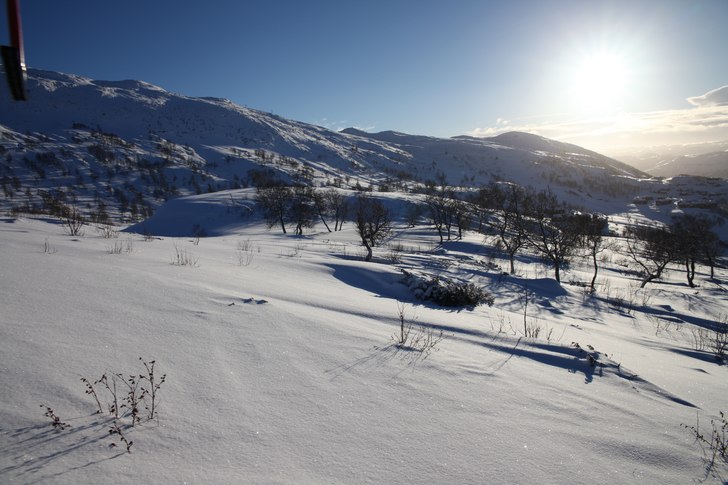 Uværet er over! Vi fikk 15cm vårsnø igår.  
.