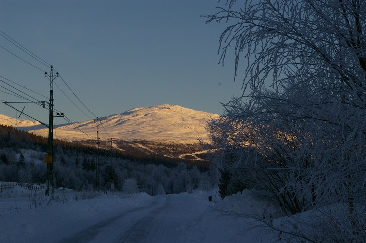 Betydligt bättre start på vintern jämförelsevi. Foto: Hans-Olof Lundgren.