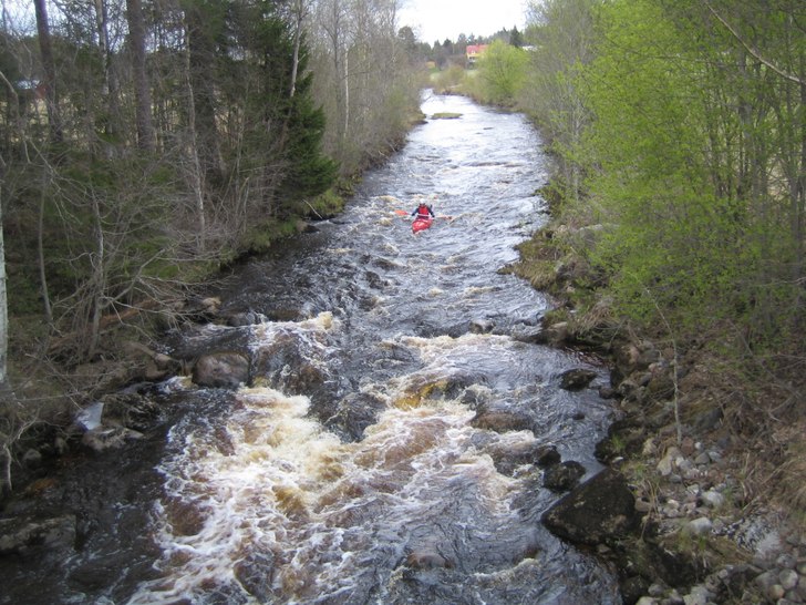 Foto: Staffan Rönnlund. Åkare: André Rönnlund.