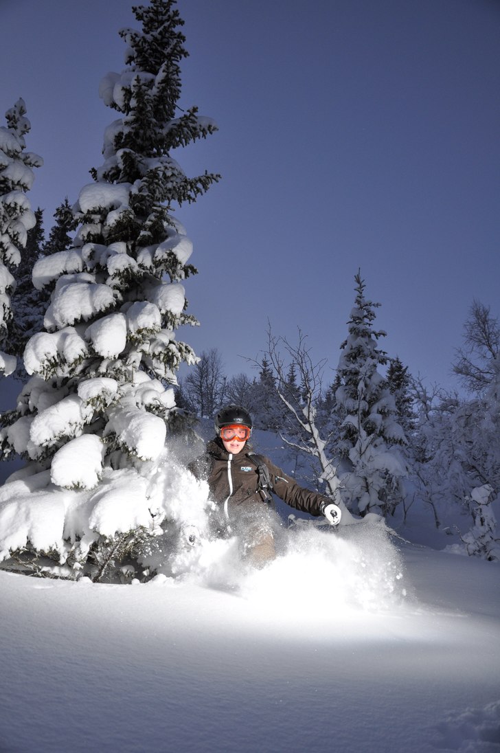 Foto: Peter Modigh. Åkare: Oscar Modigh.