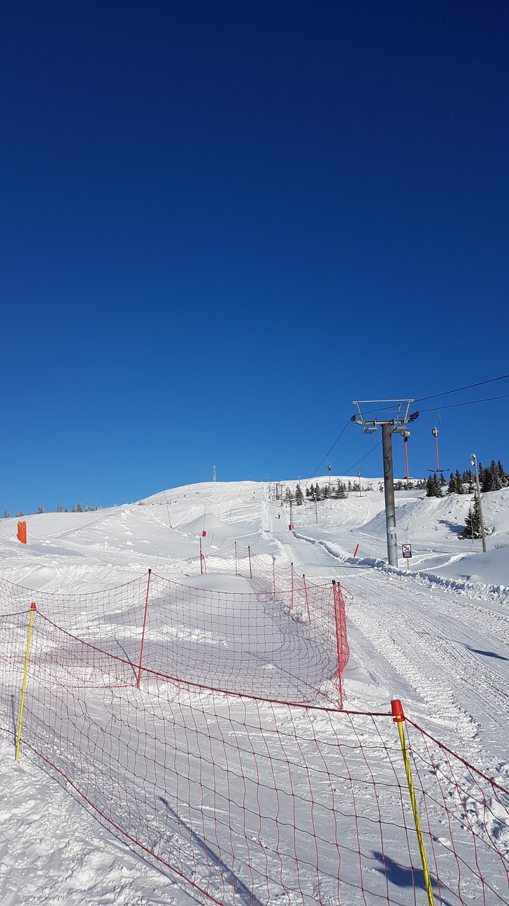 Flott vinterdag
Fine forhold i dag, vindstille, so.