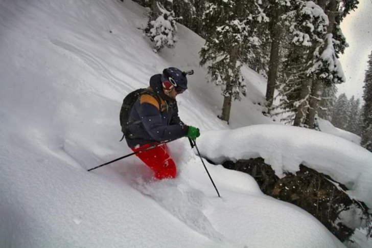 Foto: David Gärdshagen. Åkare: Martin Persson.