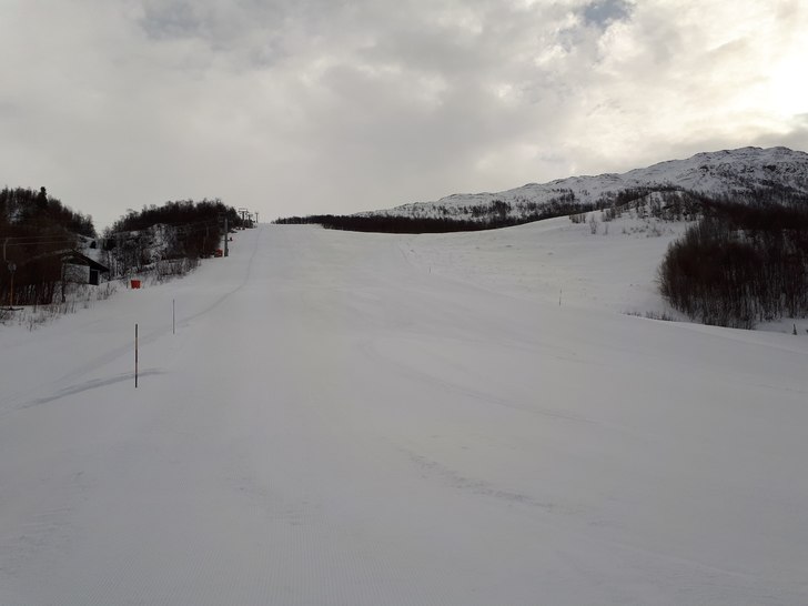 Fine forhold
Ny preparert og fine forhold.
