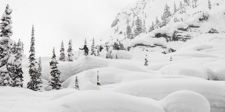 Mushroom People. Foto: Oskar Wagrelius. Åkare: Jacob Heyle.