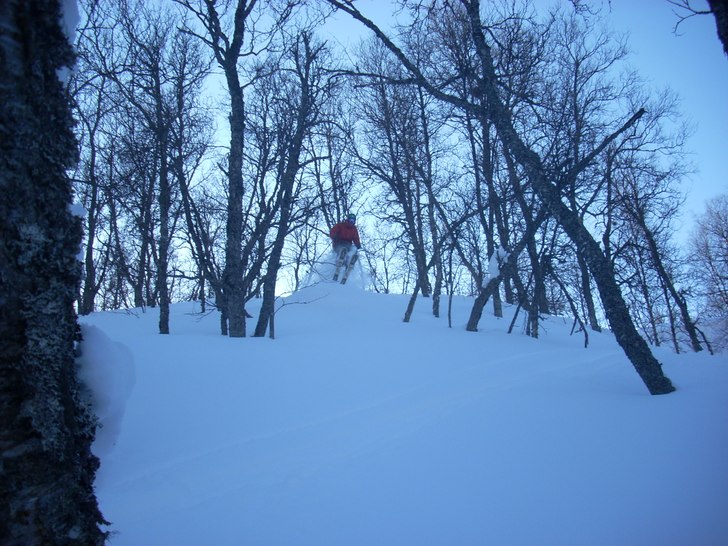 Foto: Adam Bech. Åkare: Joakim Schärer Østhus.