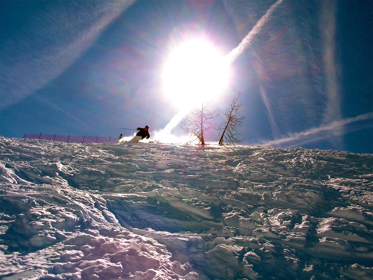 Foto: Brorsan. Åkare: Rasmus Ekmark.