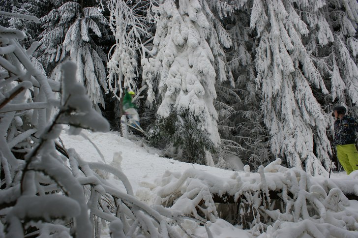 Foto: Felix Norgren. Åkare: Emil Jonsson.