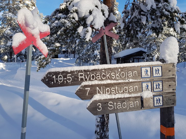 Stigen startar, 200m från parkering.